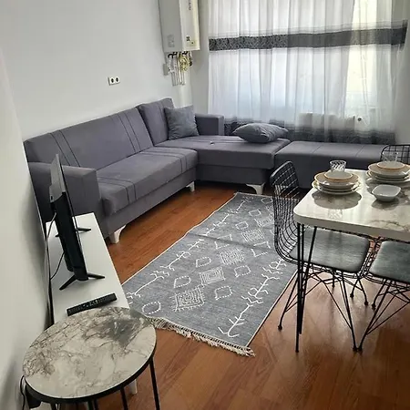 Lovely,centered 1-bedroom In Besiktas, Apartman